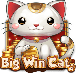 Big Win Cat