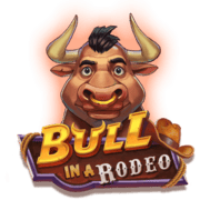 Bull in a Rodeo